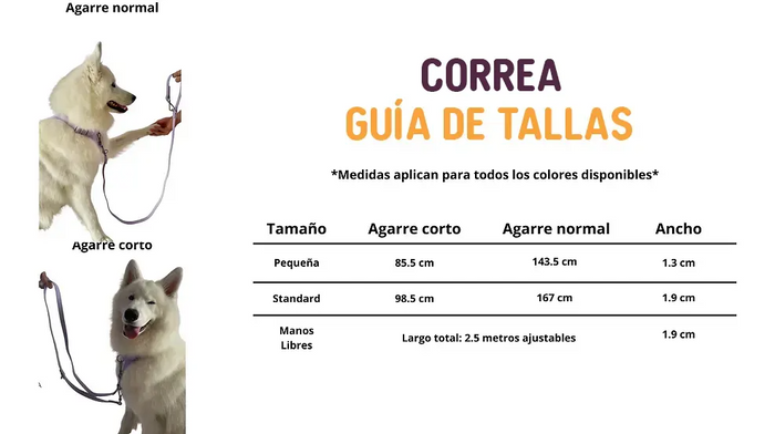 Guía de tallas — Correa 2 en 1