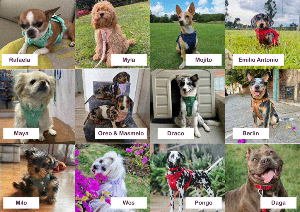 Nombres Para Perros